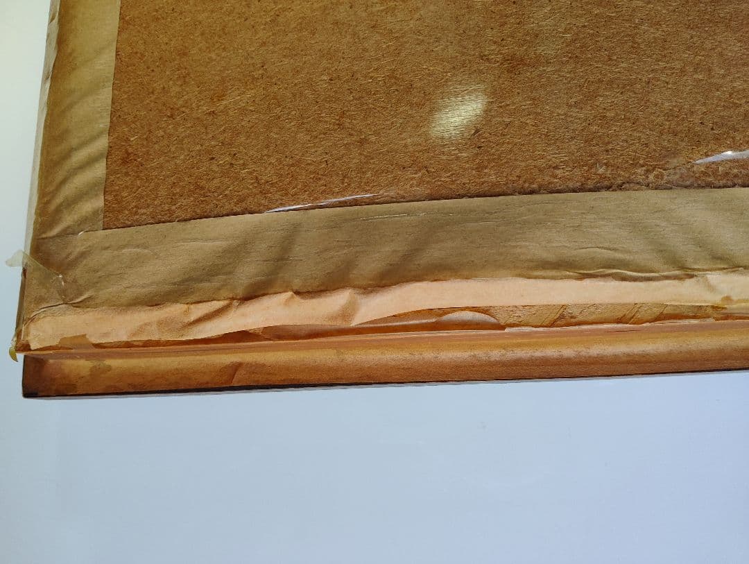 モルフォ 蝶 昆虫 標本 アート インテリア アンティーク 額装 額入り