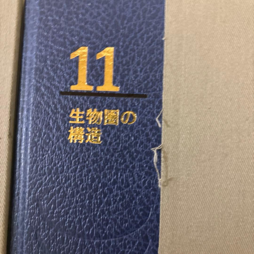 朝日百科 動物たちの地球 朝日新聞社