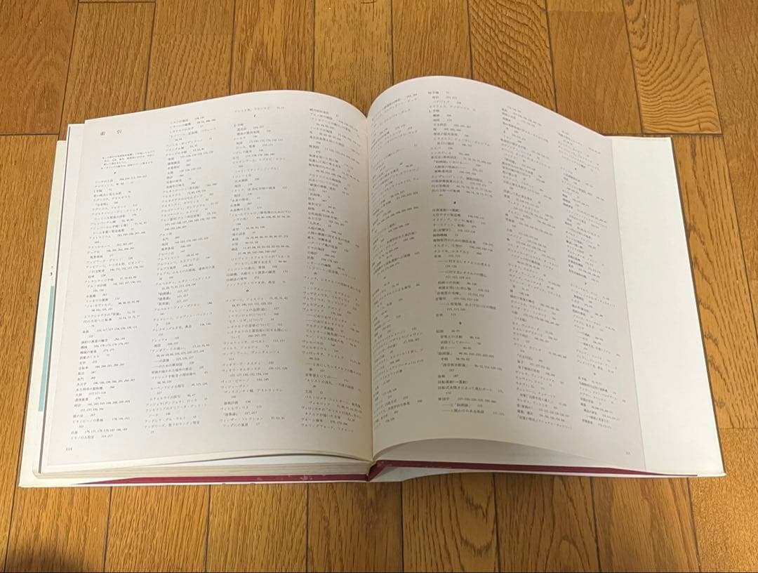 知られざるレオナルド　初版