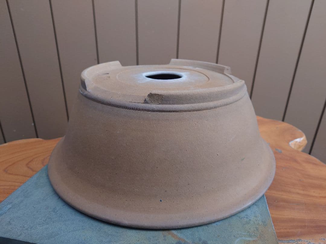 盆栽　鉢　勝山　直径41cm