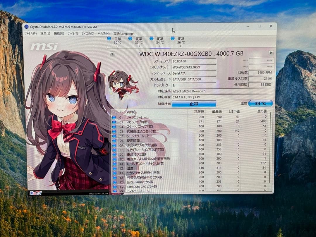 M*x様 Western Digital WD Blue 4TB WD40EZR