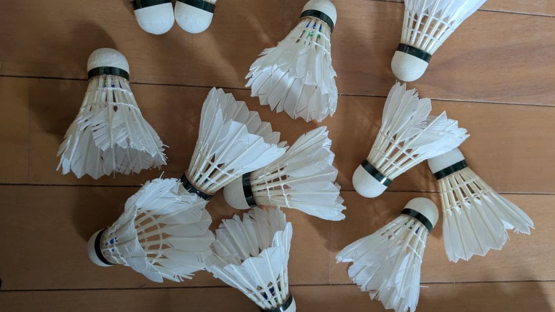 羽根シャトル 120球入り　ノック用