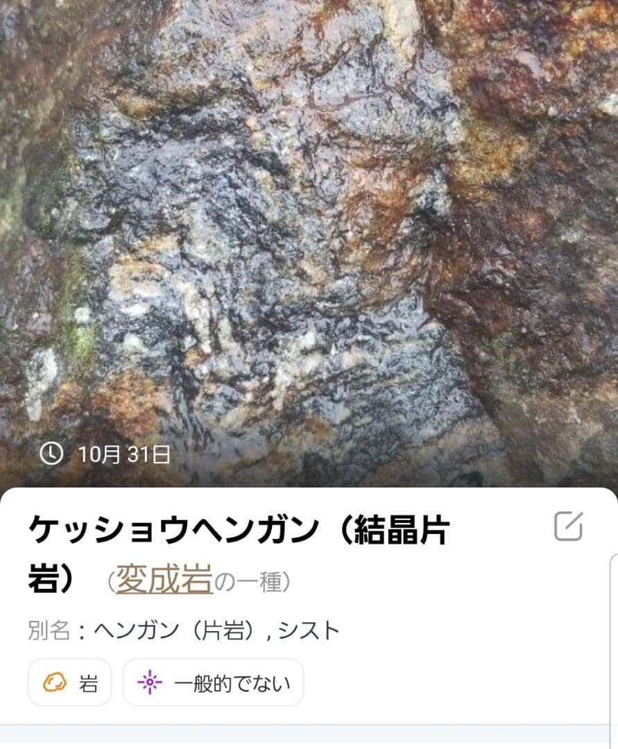 希少原石　結晶片岩　シスト　庭石　ロックガーデン　ガーデニング　宝石物質