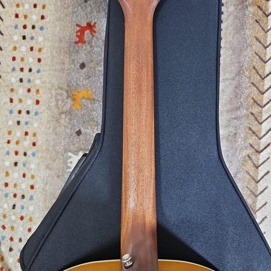 ギルドAF-50E,fender.ensenada工場製 純正キグバック付き。