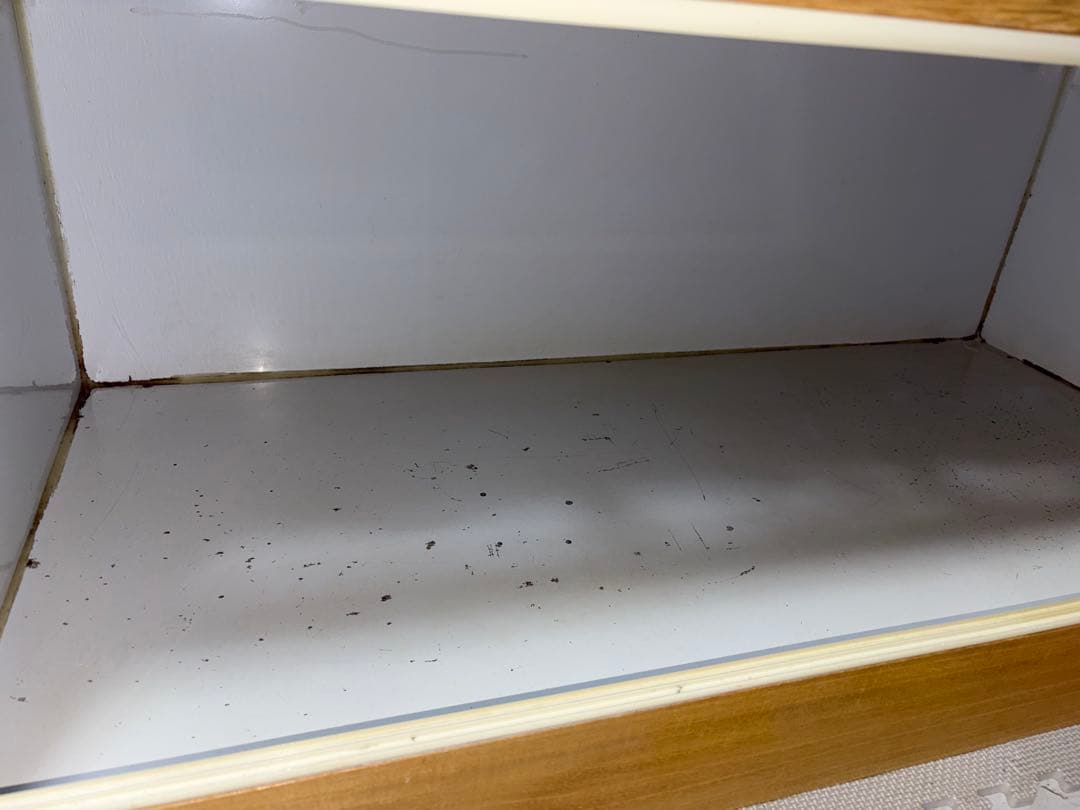 TH 大型爬虫類ケージ