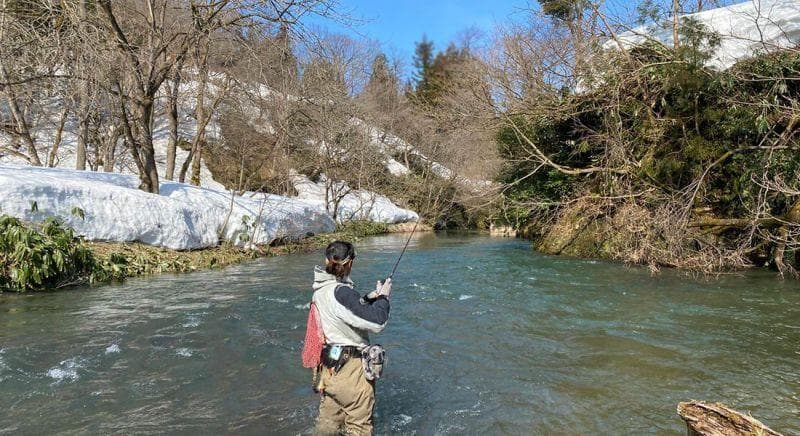 【Fishman/フィッシュマン】 Beams LOWER 6.2L /*