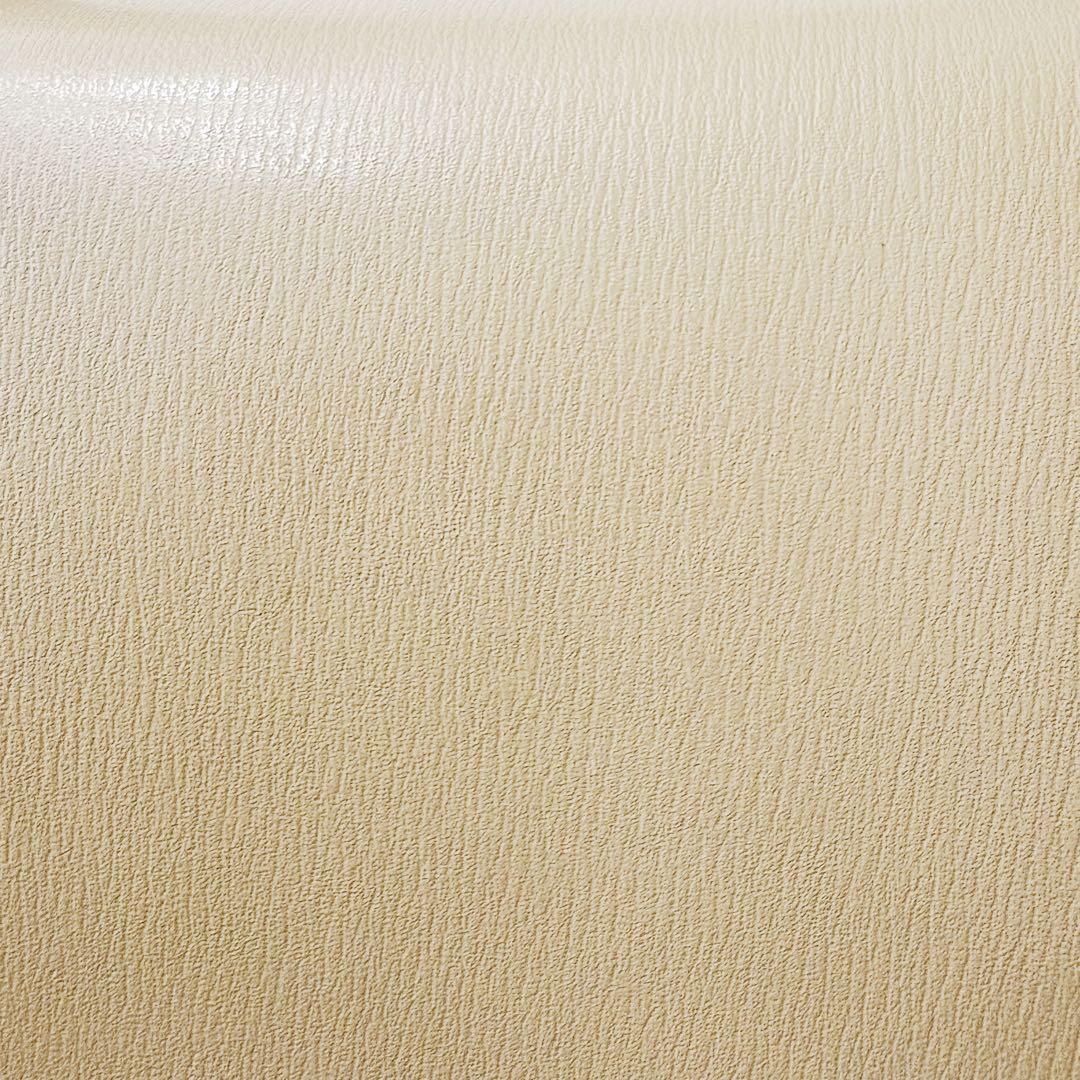 早い者勝【新品未使用】デルヴォー　タンペート　PM ショルダー　ハンドバッグ