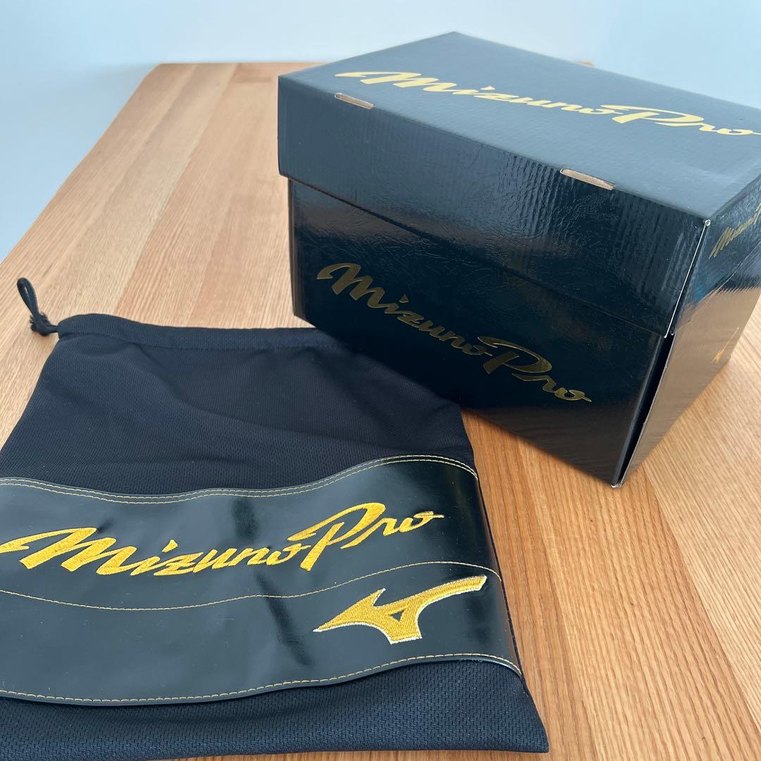 ミズノ 硬式グローブ TM型