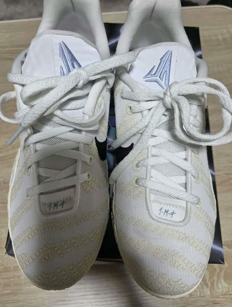 新品　NIKE バスケットボールシューズ JA3 ホワイト　24cm