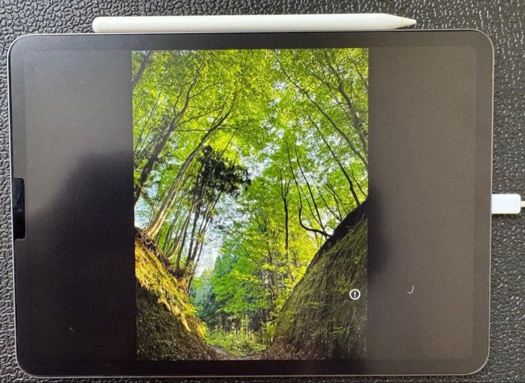 【美品】iPad Pro第二世代 11インチ 256GB