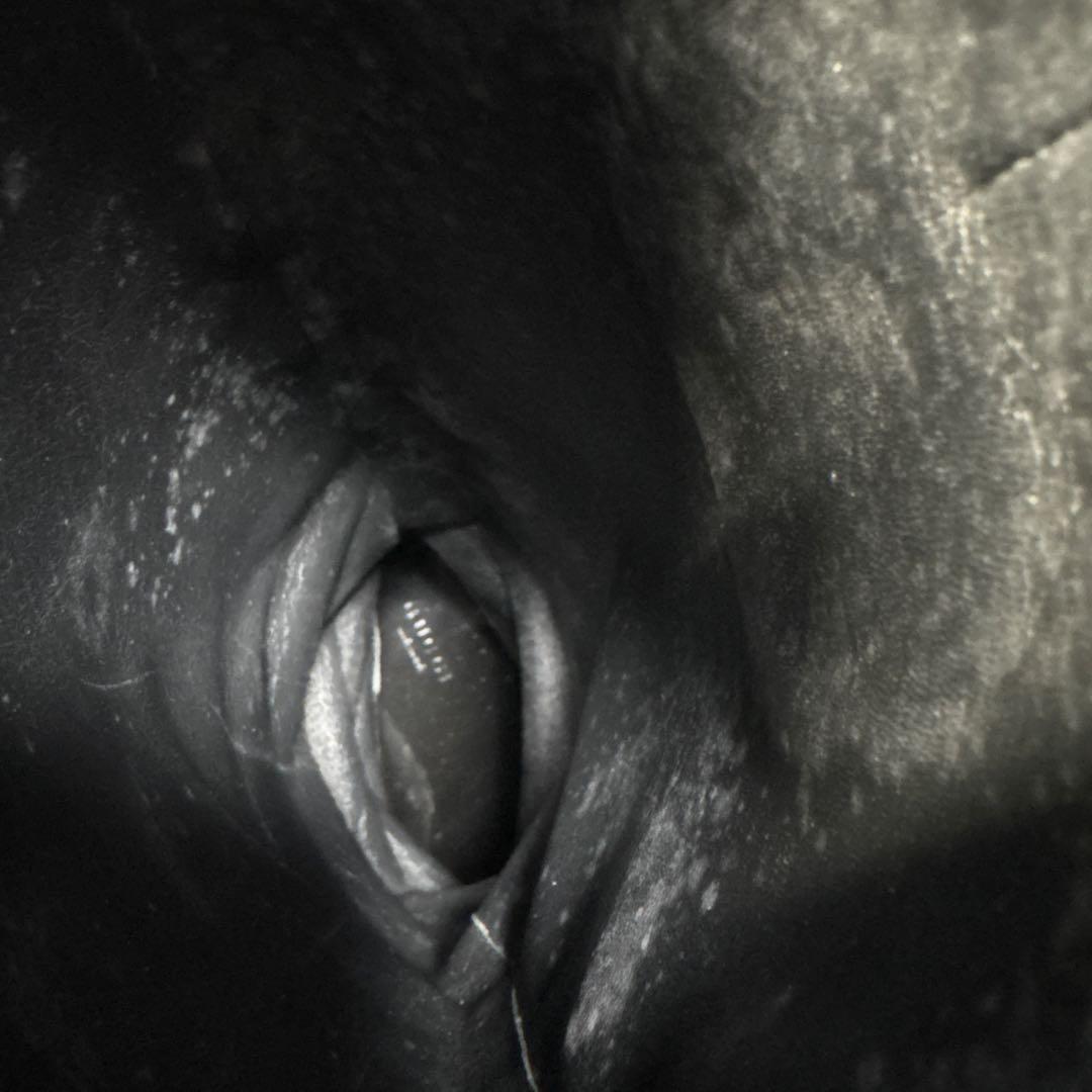 グッチ インターロッキング ロングブーツ 【36】チャンキーヒール ブラック