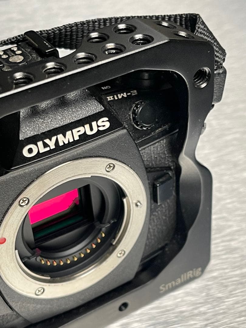 OLYMPUS OM-D E-M1 Mark II ミラーレス一眼 ボディ