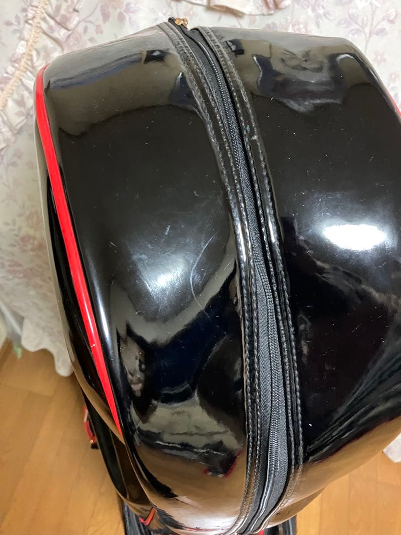 ディズニー　ミッキーマウス ミニーマウス　キャディバッグ　レア 希少　記念モデル