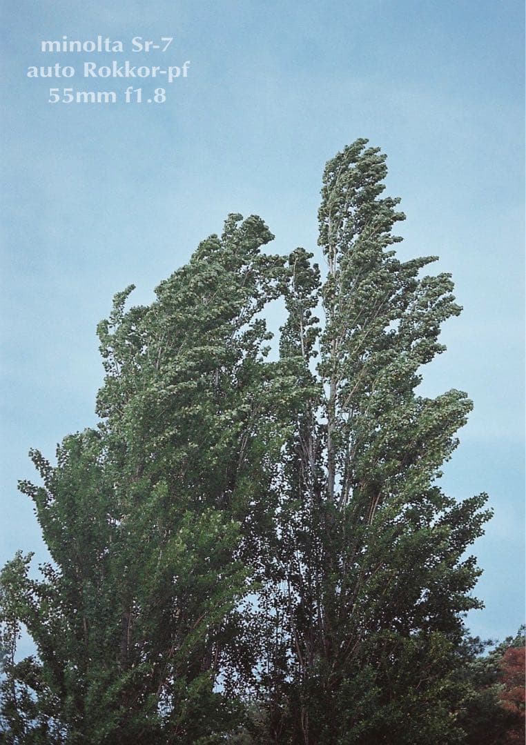 ★作例必見！完動品＊美品＊初期保証★minolta sr-7&緑のロッコール