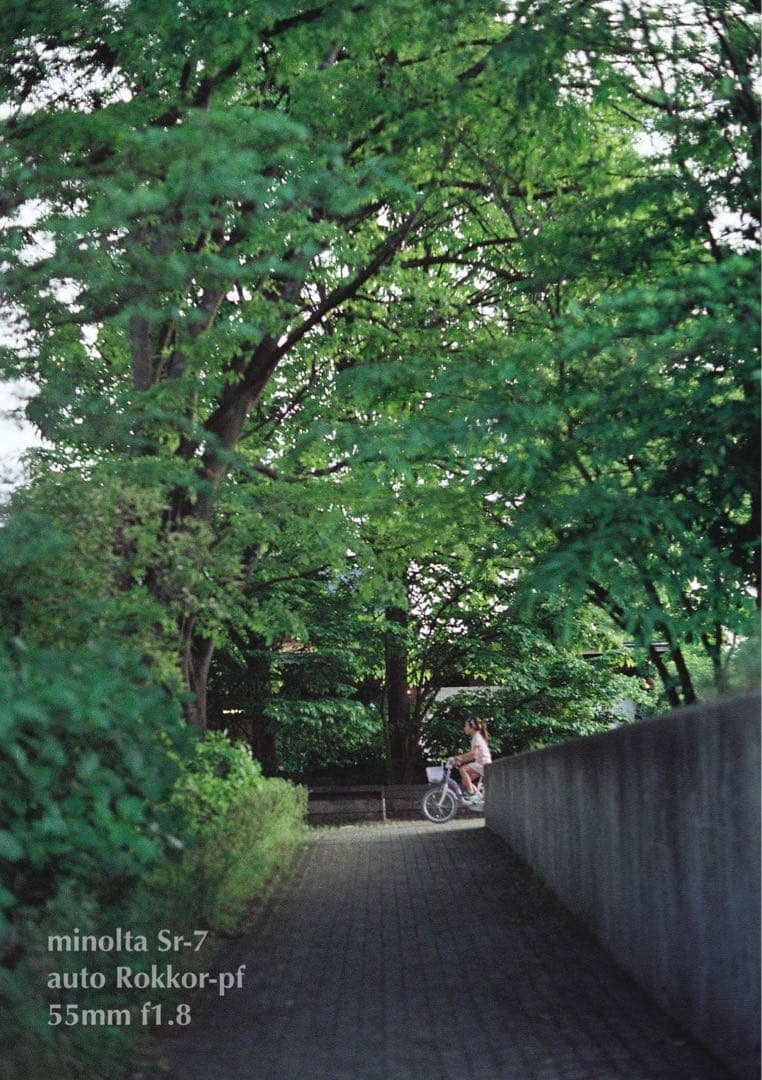 ★作例必見！完動品＊美品＊初期保証★minolta sr-7&緑のロッコール