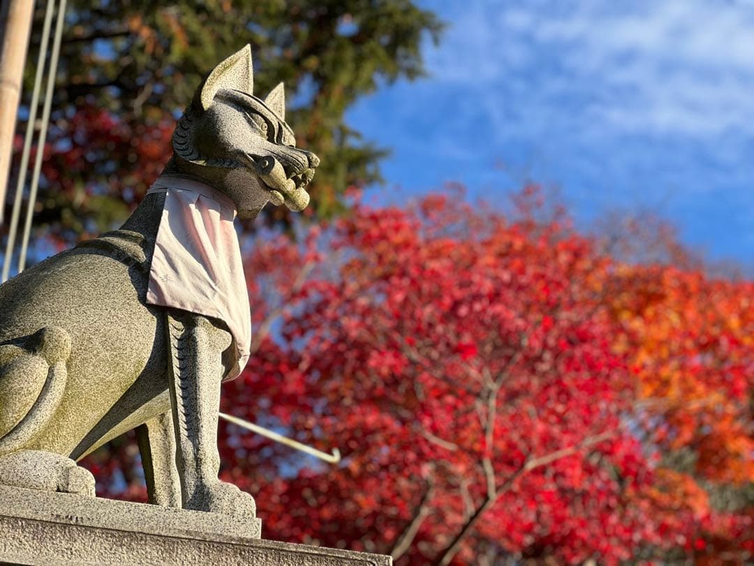 Fujifilm X-A5 ミラーレスカメラ 15-45mmレンズ付き