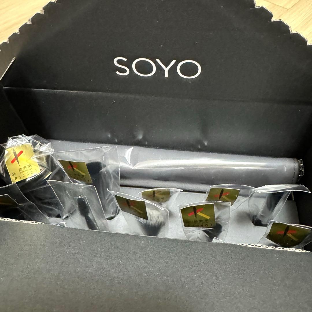 SOYO ディスカバー セット　（10本＋ケース付）