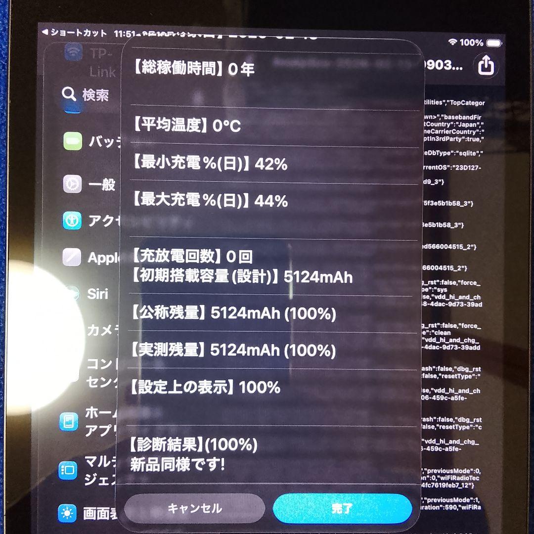 iPad Mini 5 本体 ジャンク