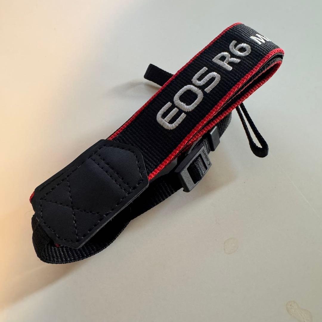 CANON EOS R6 Mark II ミラーレス一眼 本体