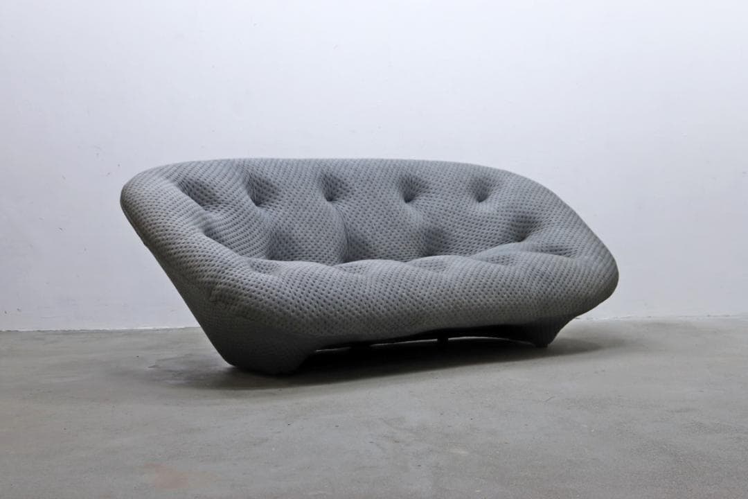 リーン ロゼ Ploum プルム 2P ソファ フランス モダン