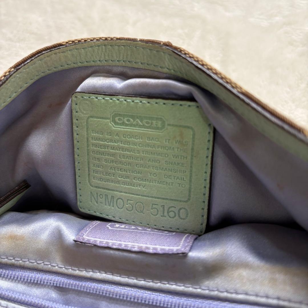 バッグ Coach Soho Python Stone Shoulder Bag