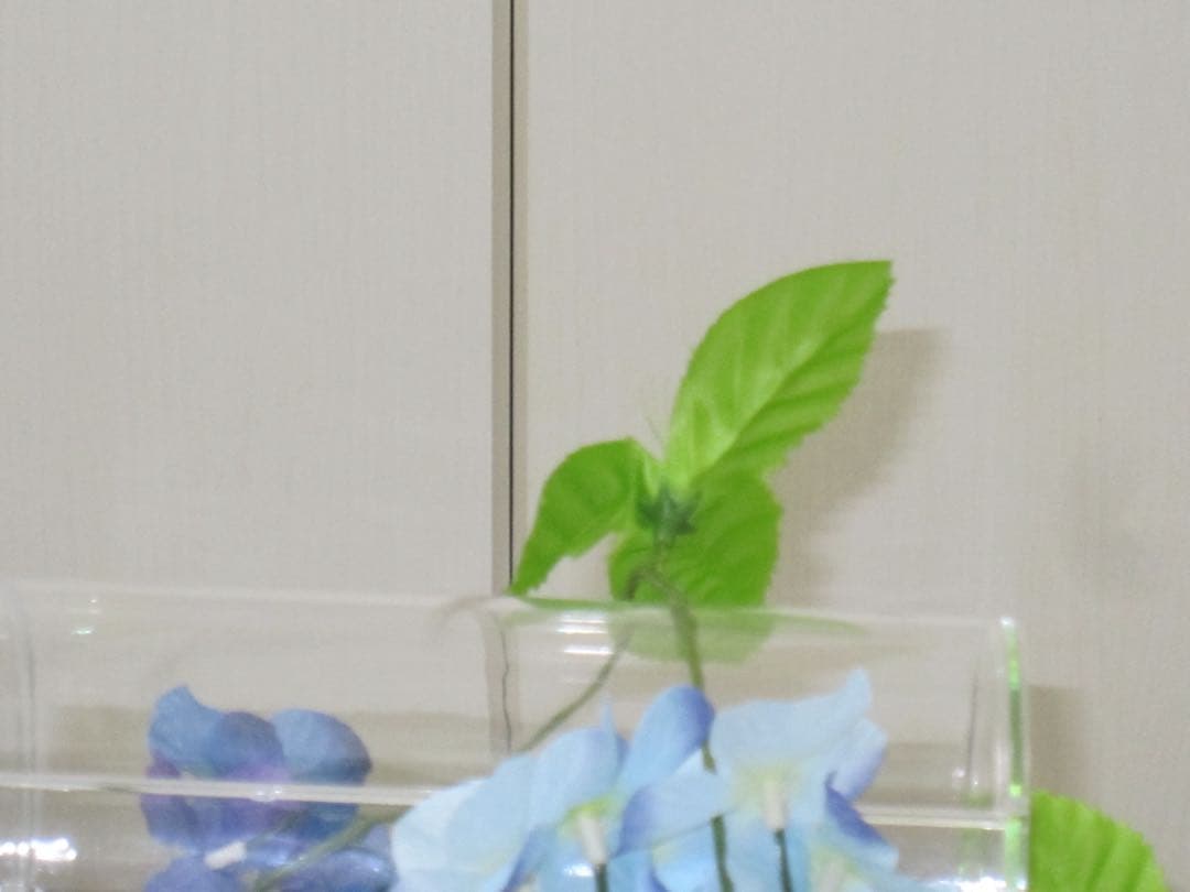 Canon IXY 510IS PC1356 充電器　箱 コンデジ　動作品