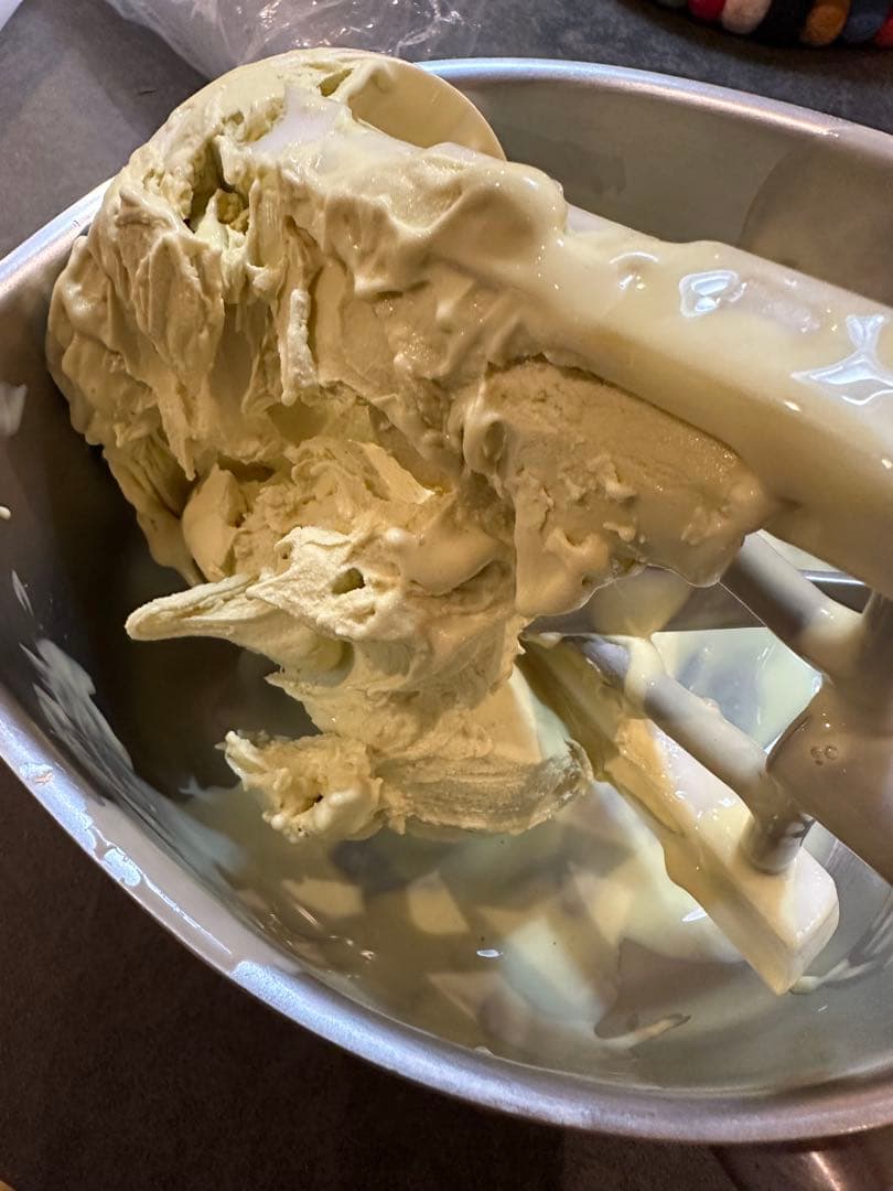 CARPIGIANI カルピジャーニ　アイスクリームメーカー　ジェラートマシン