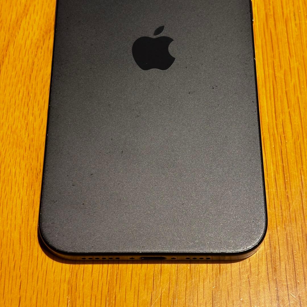 Apple iPhone 15 Plus 128GB カナダ版 シャッター音なし