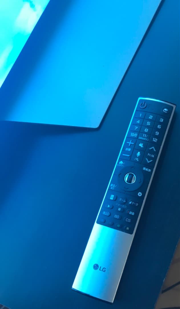 テレビ LG OLED 55v C7with Burn in pickup only