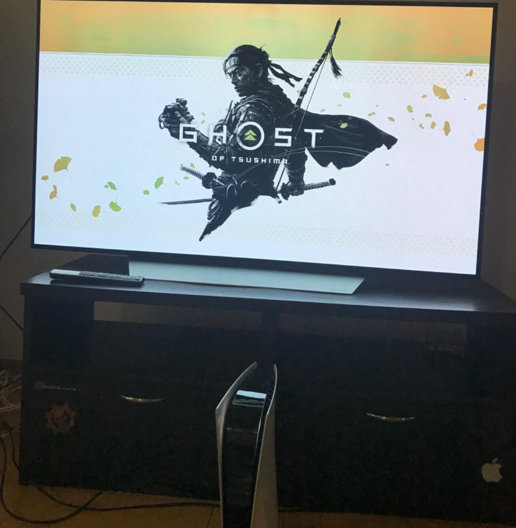 テレビ LG OLED 55v C7with Burn in pickup only