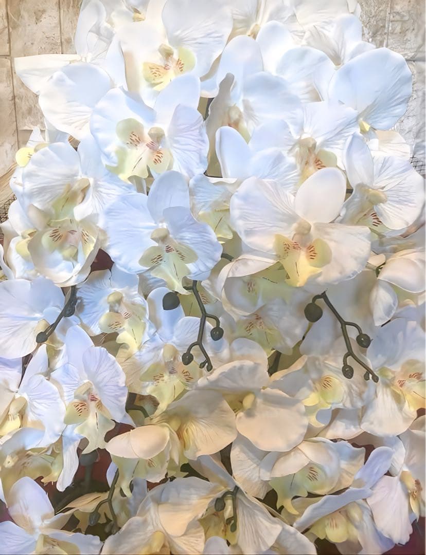 光触媒　人工観葉植物　ウォールグリーン　フェイクグリーン　胡蝶蘭１０本