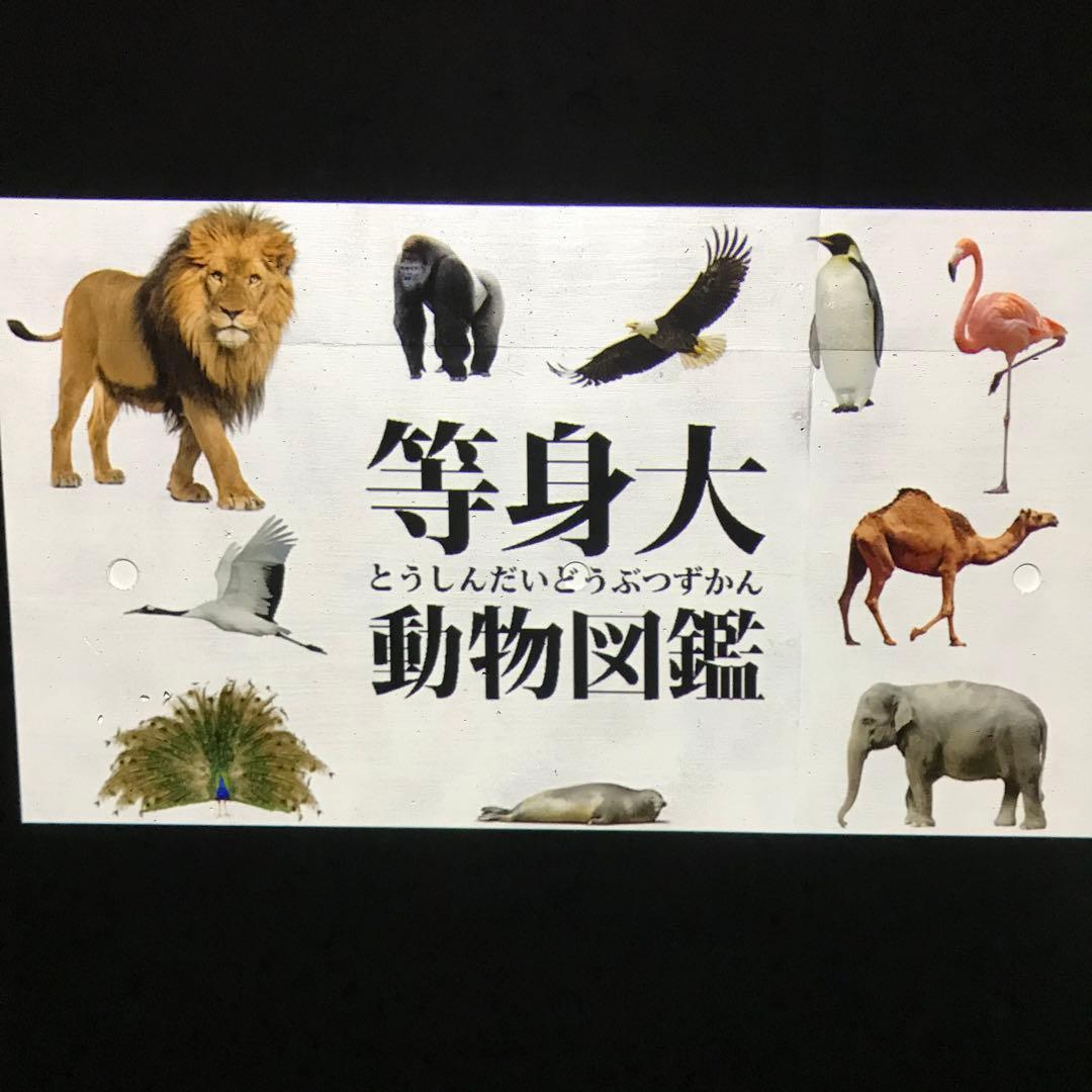 【良好】アラジン Aladdin2 Plus 2022年製 プロジェクター