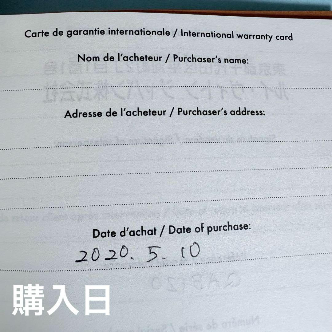 Louis Vuitton ヴィトン ワイヤレスイヤホン ルイヴィトン