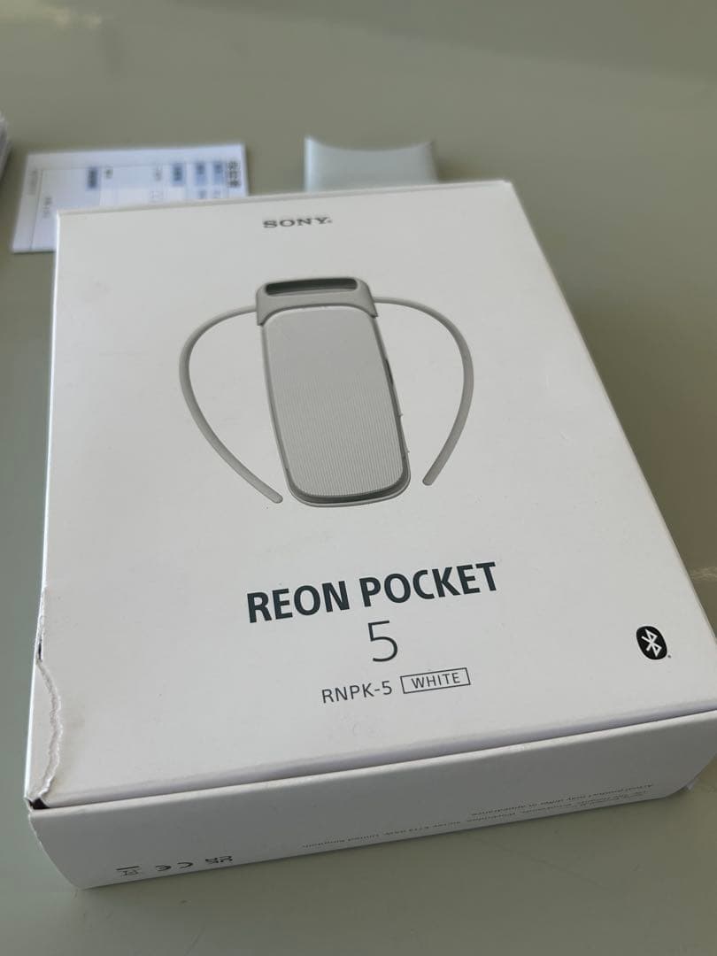 SONY REON POCKET 5 ソニー レオンポケット 5 中古品