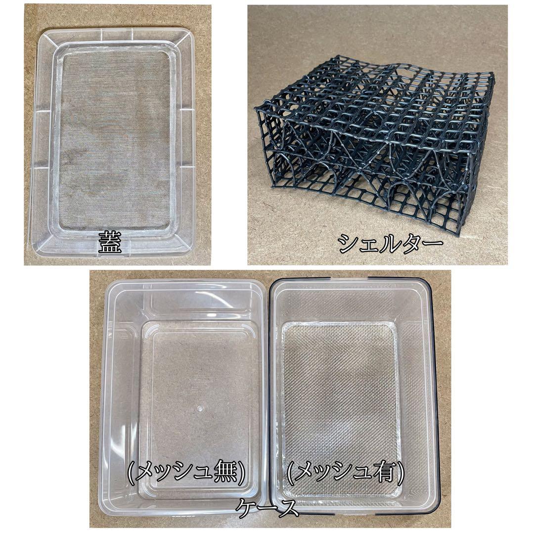 Tさん様　Ｍ (シェ)