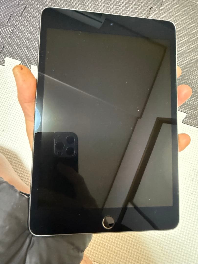 iPad本体 iPad mini 5 64GB Cellular Au