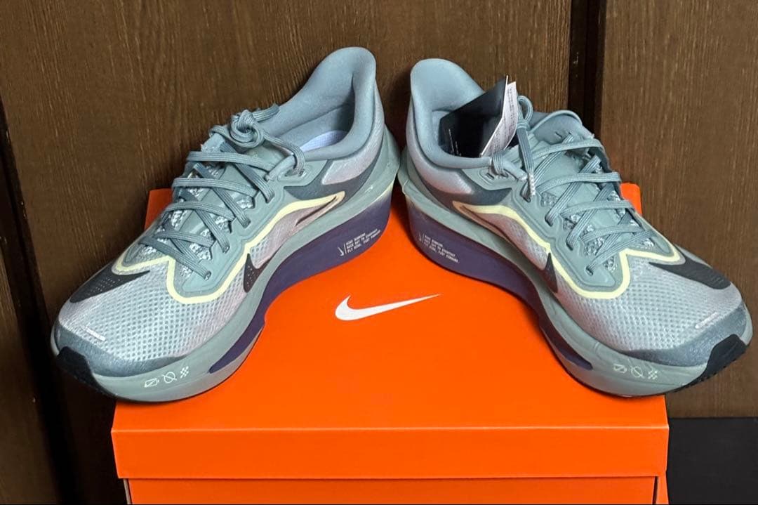 新品ナイキ Nike ズーム フライ 6ランニングシューズ FN8454-003