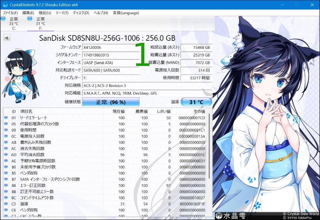 Toshiba SanDisk SSD 256GB 3枚 + 128GB 2枚