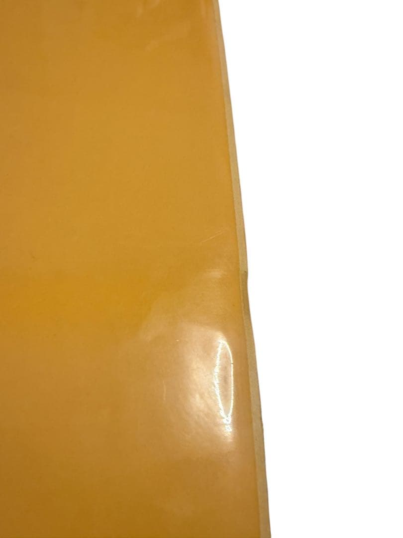 Beach Access ビーチアクセス ロング ソフトボード 8.0 73L