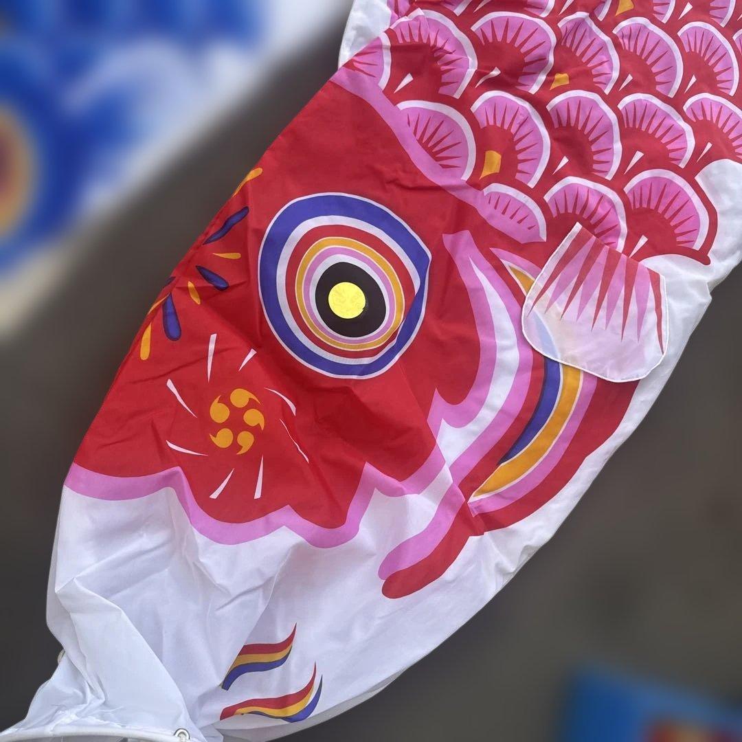 カラフル鯉のぼりセット　太郎鯉