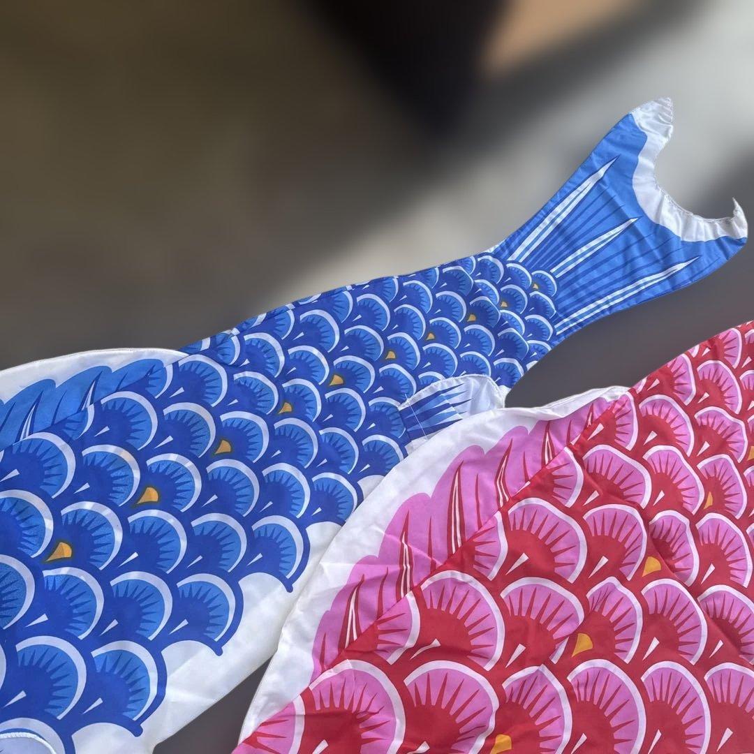 カラフル鯉のぼりセット　太郎鯉