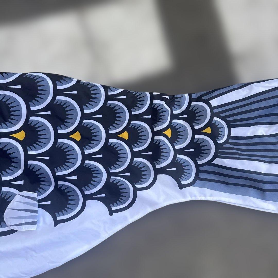 カラフル鯉のぼりセット　太郎鯉