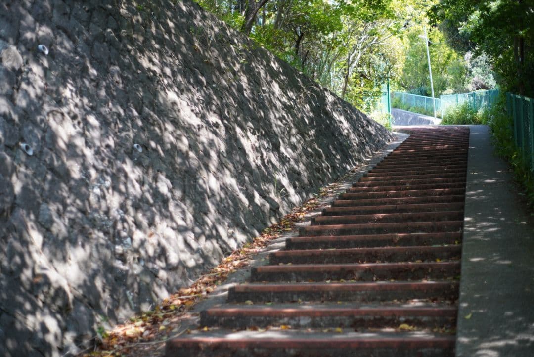 【分解清掃済美品】MINOLTA X-7＆MD ROKKOR 50mm f1.7