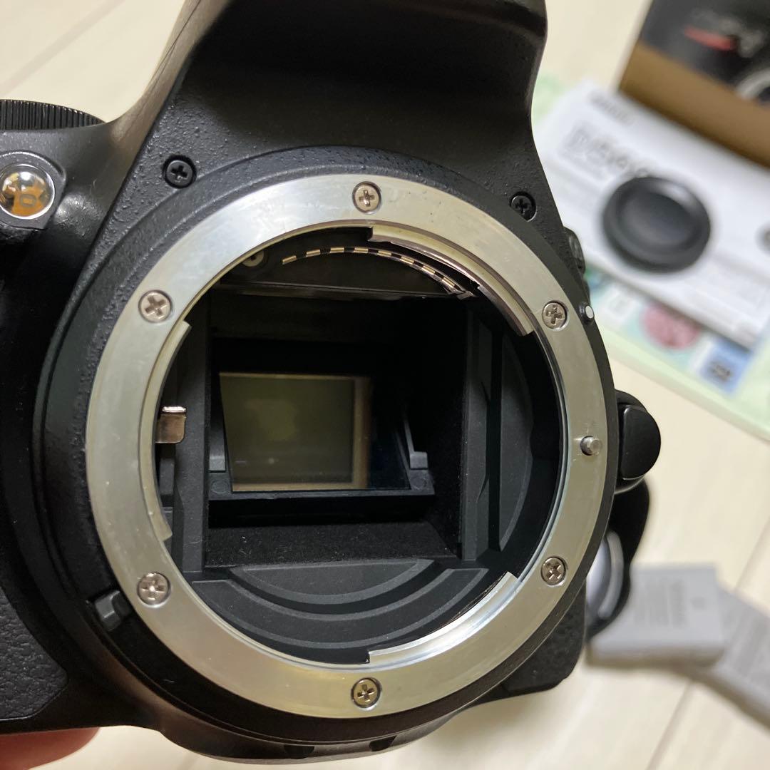 Nikon D5600 レンズセット