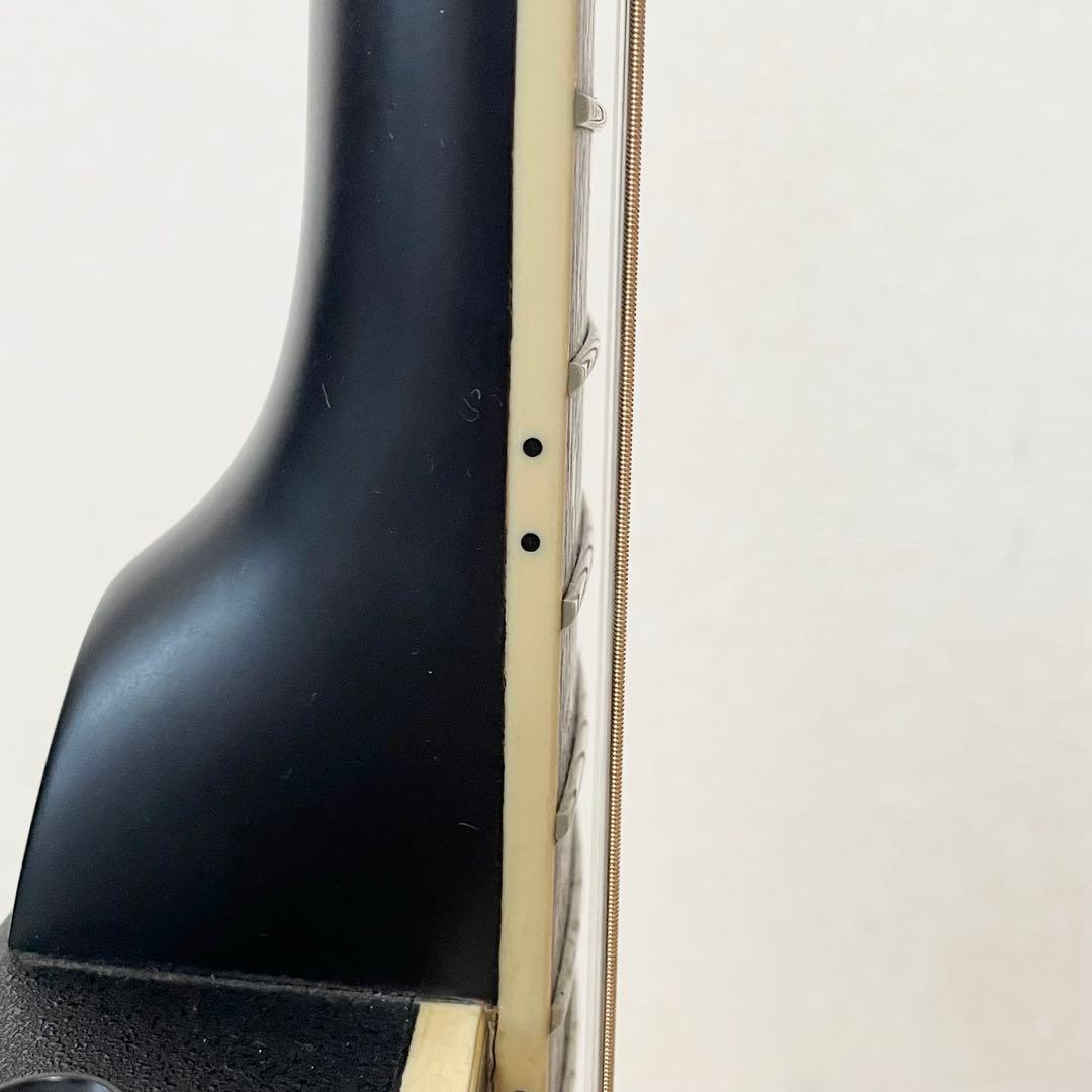 【美品】applause アプローズ　AE148 エレアコ 純正ソフトケース付き