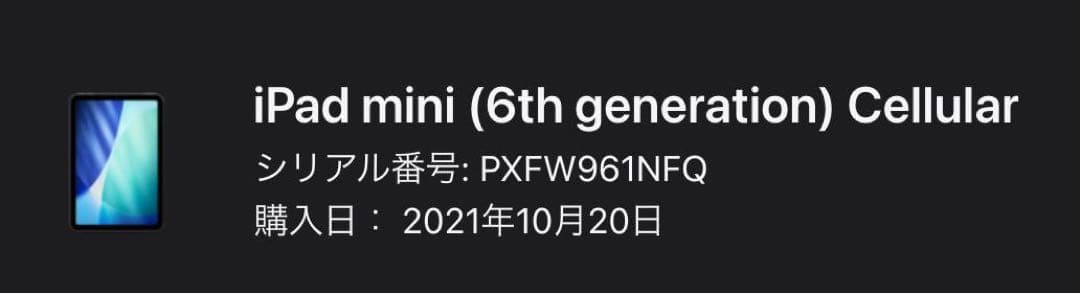 iPad mini 6世代 256GB セルラーモデル バッテリー最大容量88%
