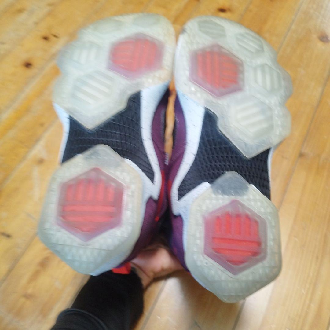 ナイキ レブロン 13 25.5cm lebron James