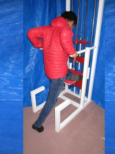 アシストマシン　チニング＆ディプス