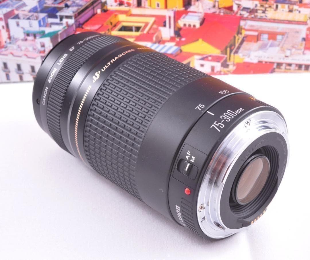 望遠レンズ Canon キヤノン EF75-300mm 想い出の瞬間 完動品