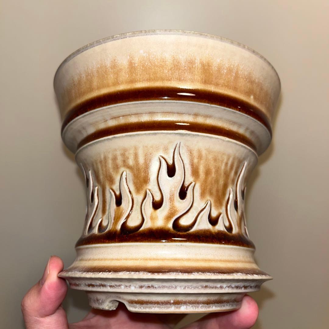 XL SIZE 植木鉢 作家鉢 アガベ グラキリス チタノタ 白鯨 黒火焔 陽炎